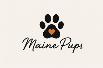 Maine Pups