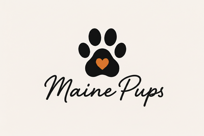 Maine Pups