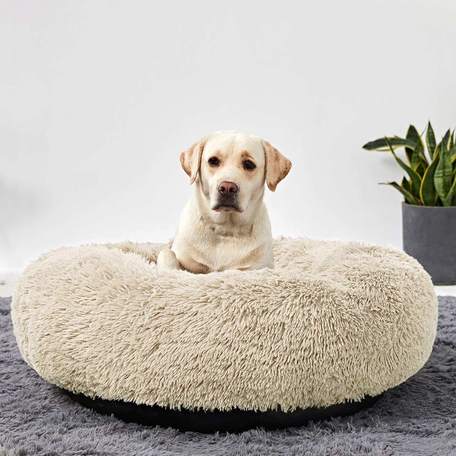 Calming Donut Bed